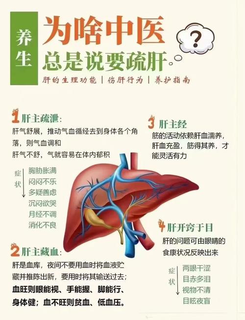 探索梦见肝脏的深层含义，提升健康意识从此开始