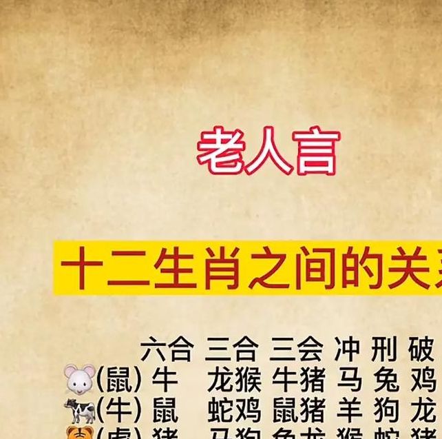 梦见十二生肖解读动物象征与财运玄机对比分析