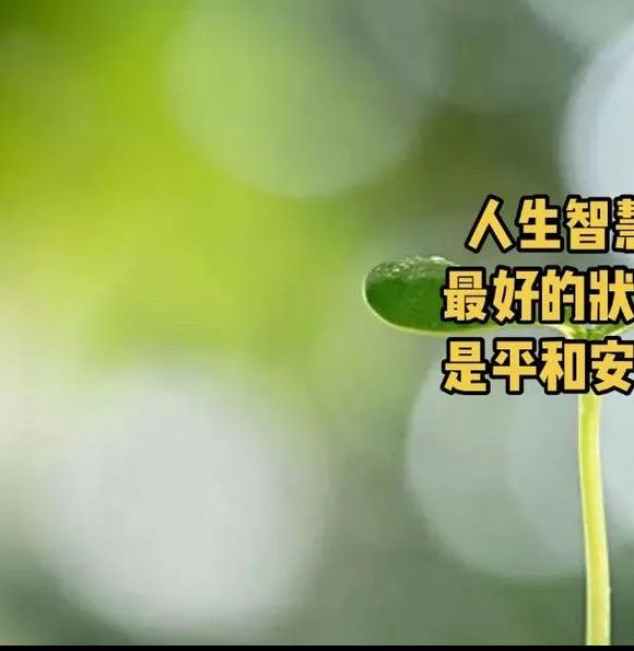 梦见绿色象征意义探索内心平和的高效解决方案