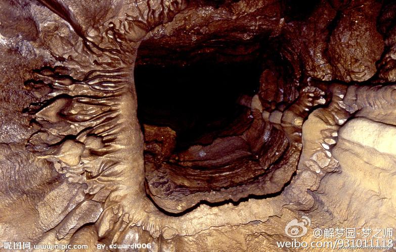 3大梦见巢穴的深层含义解析提升内心洞察力 3大梦见巢穴的深层含义解析提升内心洞察力