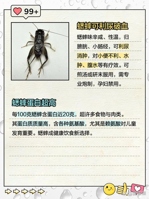 梦见蛐蛐寓意详解象征财富与好运的秘密揭示 梦见蛐蛐寓意详解象征财富与好运的秘密揭示