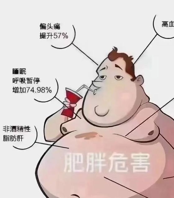 梦见胖子象征哪些?长尾解读深度分析背后心理暗示 梦见胖子象征哪些?长尾解读深度分析背后心理暗示