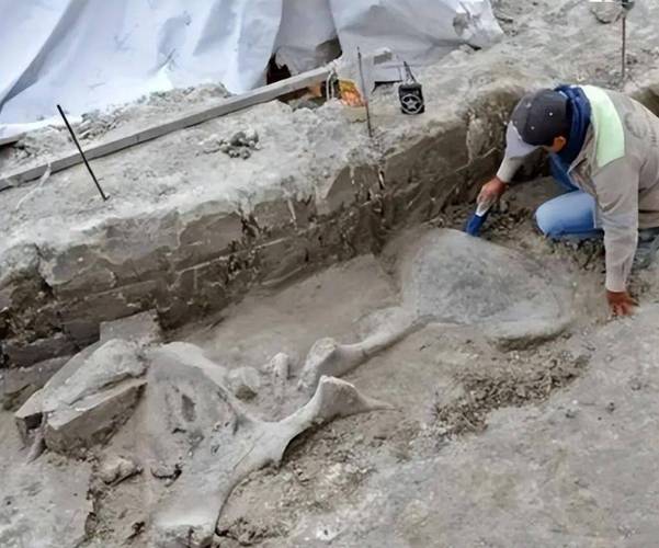 梦见残骸象征哪些意味？挖掘背后心理暗示你知道吗？