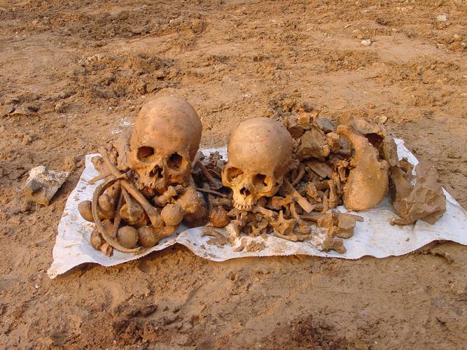 梦见残骸象征哪些意味？挖掘背后心理暗示你知道吗？