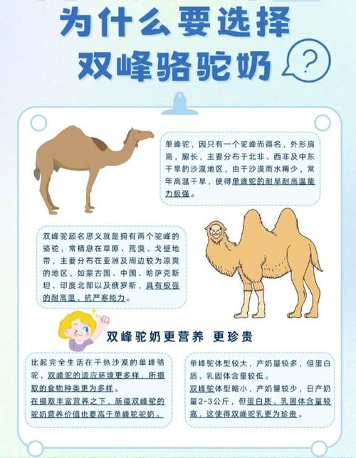揭秘梦见单峰骆驼的5大象征，权威心理学解析