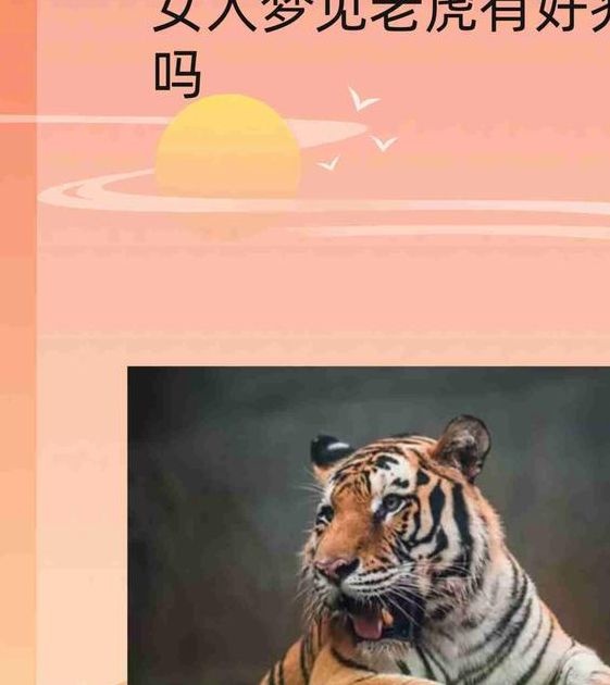 深入解析梦境老虎扑来象征哪些，解锁内心潜在力量