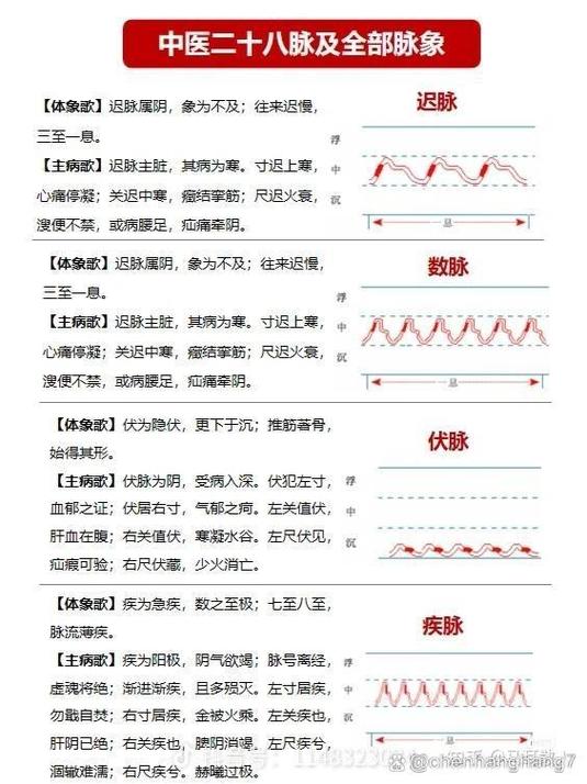 梦见脉搏跳动预示着哪些？探秘此梦境的深层意义