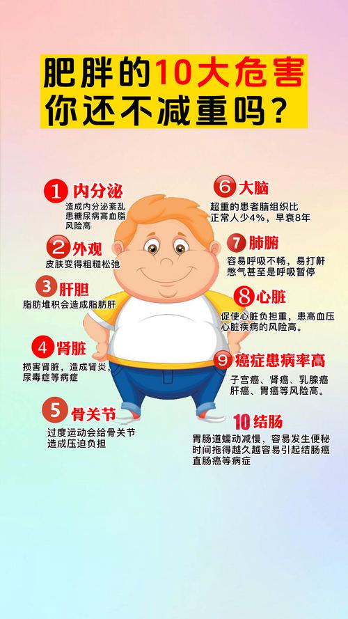 9个权威解析梦见肥胖的深层心理意义及应对策略