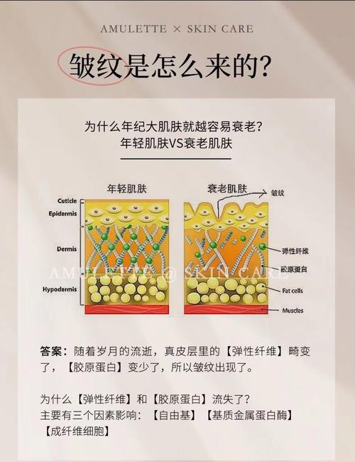 梦见皱纹的5大深层含义及其心理暗示解析