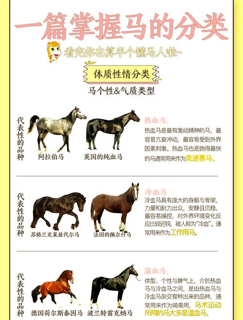 梦境解析详解马匹象征情感力量，提升内心共鸣！