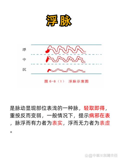 揭秘梦见脉搏现象的5大真相，专家深度解析