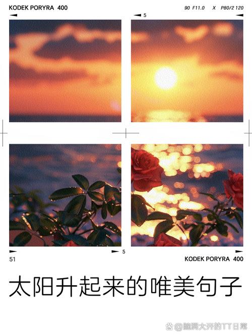 梦见太阳升起的深意解析好运预兆还是心理暗示？