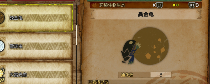 掌握怪物猎人：荒野粪金龟收集技巧，轻松提升游戏体验