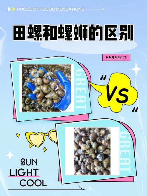 梦见螺蛳的深层含义与心理解析探寻内心世界的奇妙旅程! 梦见螺蛳的深层含义与心理解析探寻内心世界的奇妙旅程!