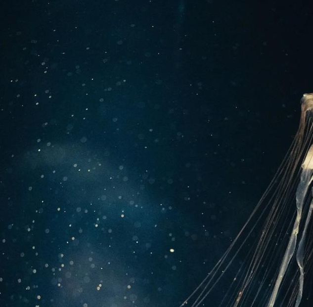 揭秘梦见月入水中的深层含义背后隐藏的心理解析与运势影响