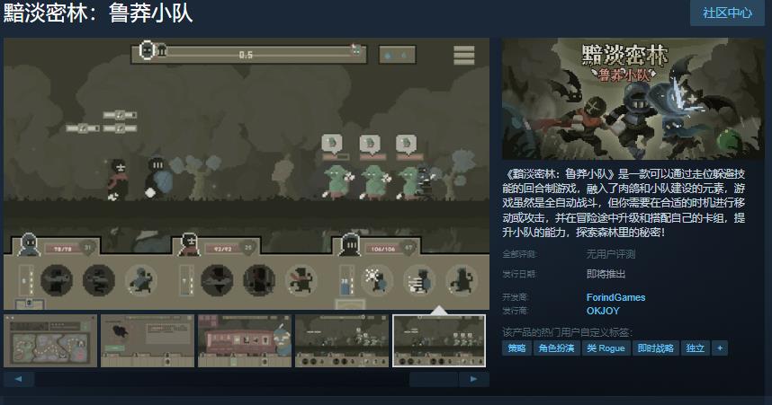 黯淡密林：鲁莽小队Steam页面解析：发售日未知，值得期待的回合制冒险游戏全揭秘