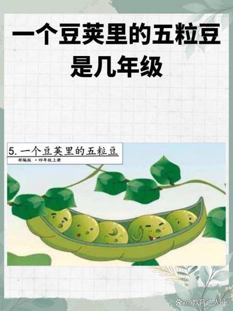 梦见豆荚解梦解析心理意义 vs 生活预示 梦见豆荚解梦解析心理意义 vs 生活预示