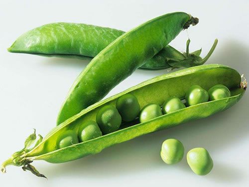 梦见豆荚解梦解析心理意义 vs 生活预示 梦见豆荚解梦解析心理意义 vs 生活预示