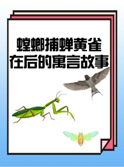 梦见黄雀的5种深刻含义，解读其中隐藏的生活启示