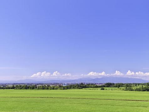 梦见平原意味着哪些？揭示潜在意义及高效解决方案