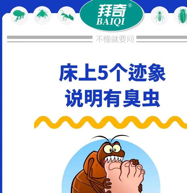 梦见臭虫象征哪些？揭示梦境背后深刻启示，助您探索内心世界！