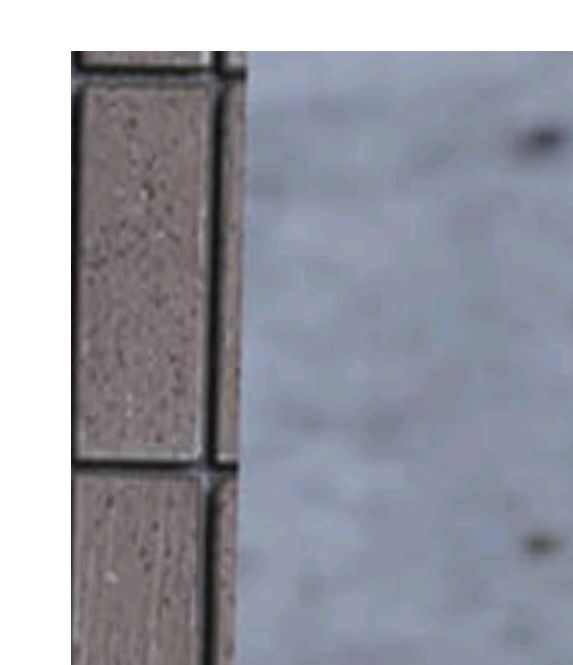 揭秘！<Escape Room：圣诞节> 通关秘技，助你轻松解锁隐藏关卡