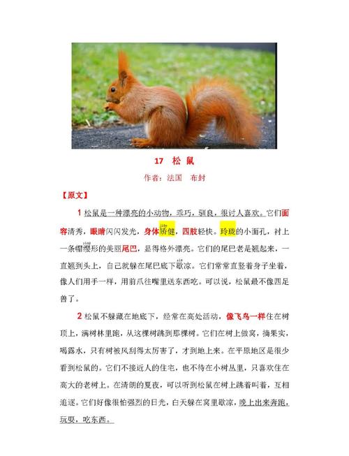 梦见松鼠象征寓意深远，解读揭示内心温暖与财富的潜密码！