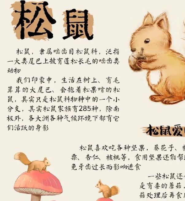 梦见松鼠象征寓意深远，解读揭示内心温暖与财富的潜密码！