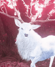 刺客信条：影全传说墨绘攻略揭秘——大多数玩家忽略的收集秘诀！