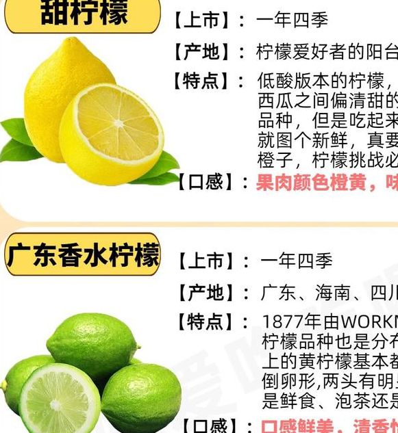 梦见柠檬预示哪些含义?解读潜在心理与生活暗示 梦见柠檬预示哪些含义?解读潜在心理与生活暗示