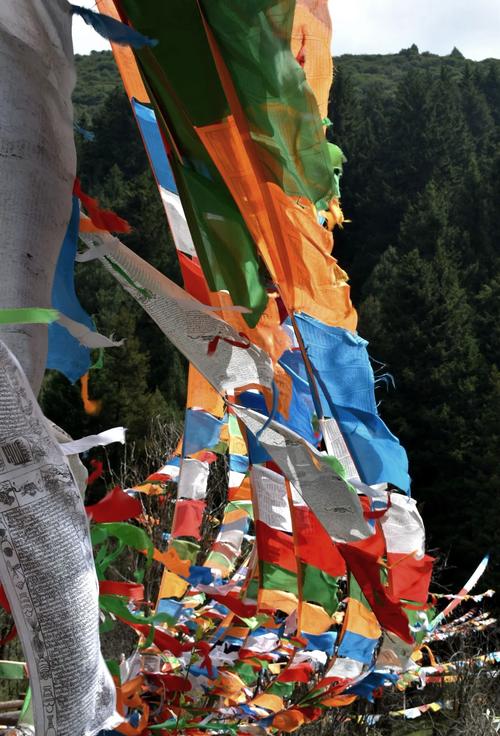 梦见大幡预示哪些?解读象征与现实关联,提升生活掌控力 梦见大幡预示哪些?解读象征与现实关联,提升生活掌控力
