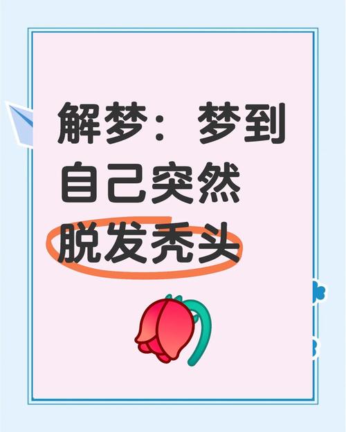 梦见秃头解析梦境背后的心理暗示及高效解决方案