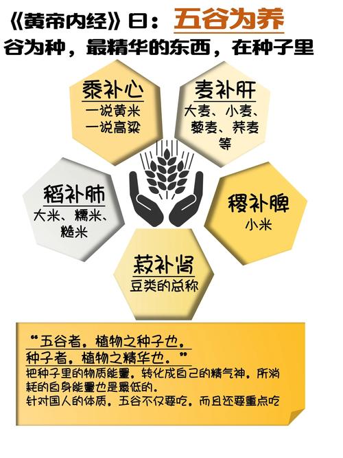 梦见五谷寓意揭晓如何利用它提升生活质量? 梦见五谷寓意揭晓如何利用它提升生活质量?