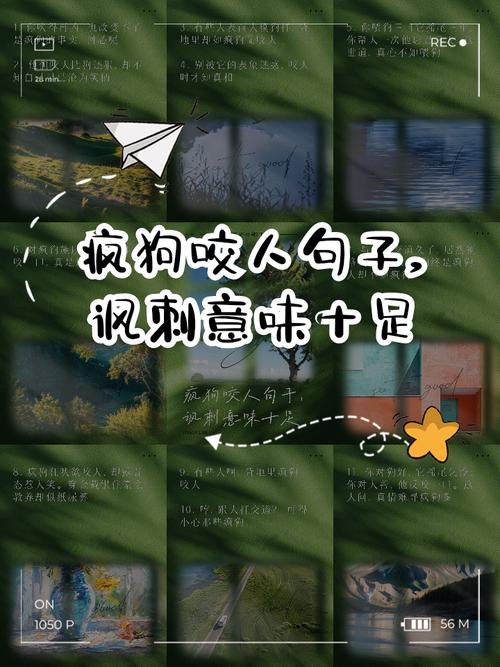 梦见疯狗代表哪些?深度解析梦境背后的心理暗示 梦见疯狗代表哪些?深度解析梦境背后的心理暗示