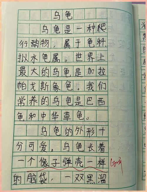 梦见乌龟晒太阳意味着哪些?解读其深层心理暗示,提升你的生活智慧 梦见乌龟晒太阳意味着哪些?解读其深层心理暗示,提升你的生活智慧