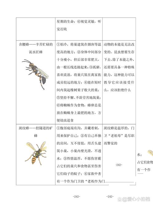 梦见昆虫解析其象征意义及应对高效解决方案 梦见昆虫解析其象征意义及应对高效解决方案