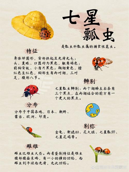 梦见昆虫解析其象征意义及应对高效解决方案 梦见昆虫解析其象征意义及应对高效解决方案