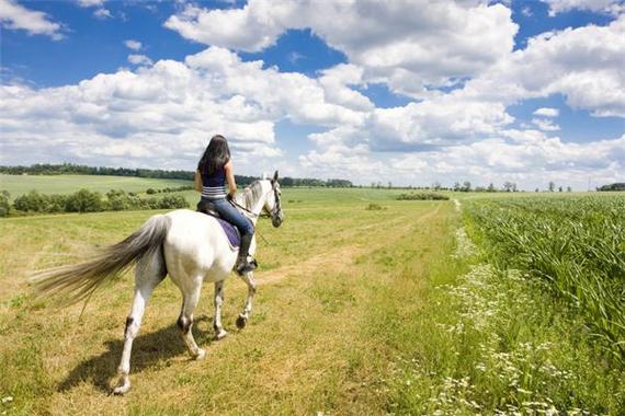 梦见骑马奔跑预示着哪些?揭开解梦背后的心理密码! 梦见骑马奔跑预示着哪些?揭开解梦背后的心理密码!
