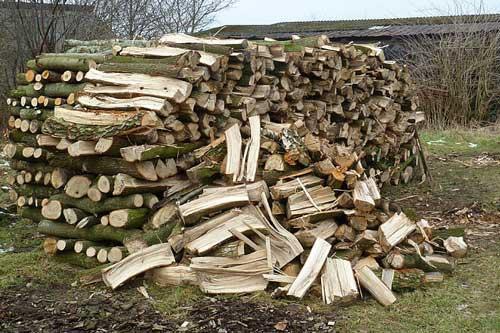 梦见柴堆预示着哪些? 揭秘梦境背后的心理暗示