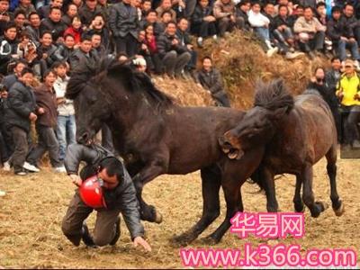 梦见马咬人预示哪些？解梦专家解析背后深层含义与心理暗示