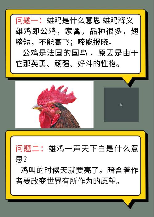 梦见公鸡象征解析深入解读与好运关联的梦境奥秘 梦见公鸡象征解析深入解读与好运关联的梦境奥秘