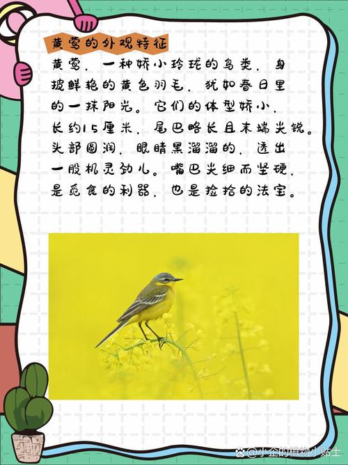 梦见黄鹂寓意解析好运降临还是困惑预示? 梦见黄鹂寓意解析好运降临还是困惑预示?