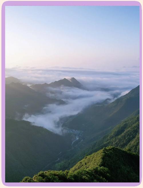 梦见在山顶俯瞰云海精神升华与内心安宁的对比分析