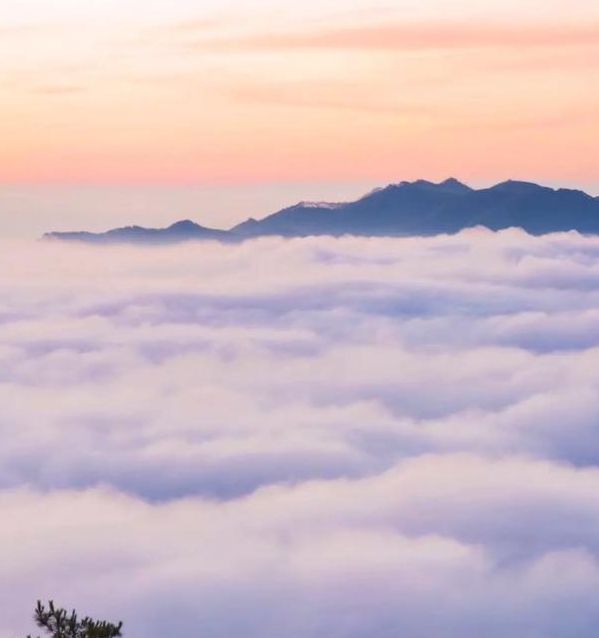 梦见在山顶俯瞰云海精神升华与内心安宁的对比分析