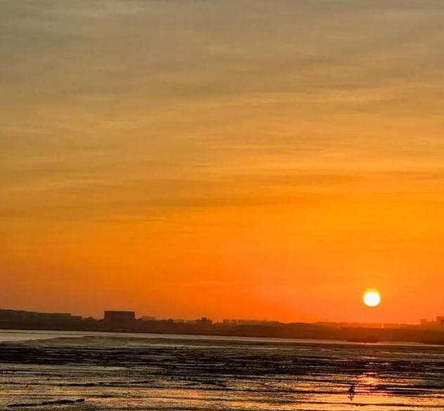 梦见兜风意味着哪些？心理解析与好运提升技巧揭秘！