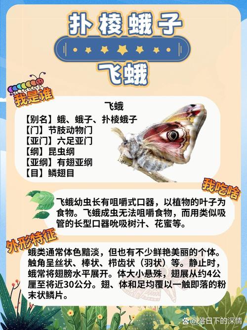 梦见飞娥象征意义揭秘5个你不知道的潜意识信号 梦见飞娥象征意义揭秘5个你不知道的潜意识信号