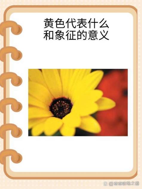 梦见黄色衣服象征意义解读5个关键潜在含义 梦见黄色衣服象征意义解读5个关键潜在含义