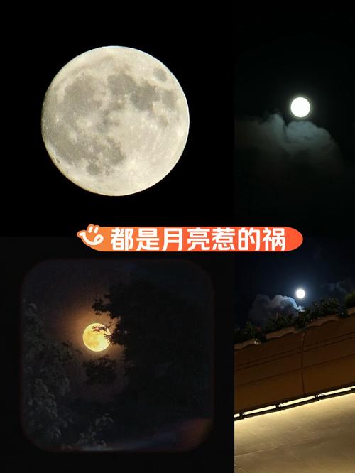 梦见月亮从山上升起暗藏玄机？揭示不为人知的解梦真相