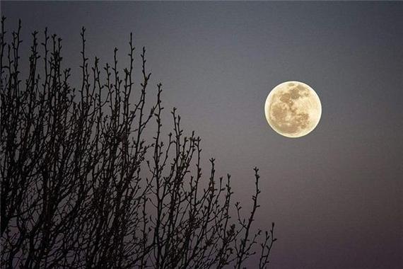 梦见月亮从山上升起暗藏玄机？揭示不为人知的解梦真相