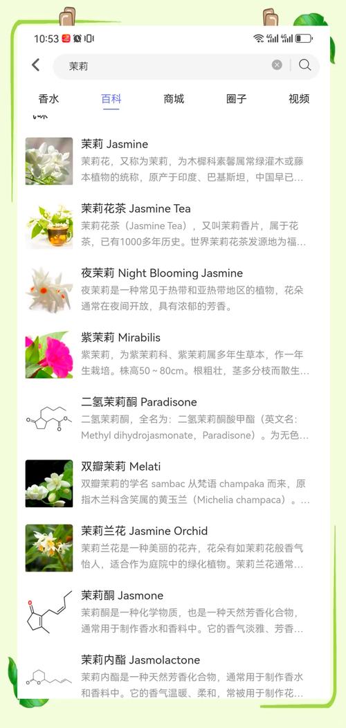 梦见茉莉香水预示着哪些?揭示运势与潜意识的神秘联系 梦见茉莉香水预示着哪些?揭示运势与潜意识的神秘联系